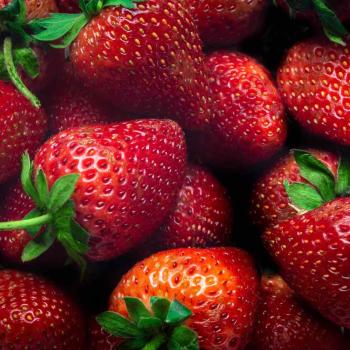 Клубника помогает похудеть или пополнеть? Можно ли похудеть, употребляя клубнику?