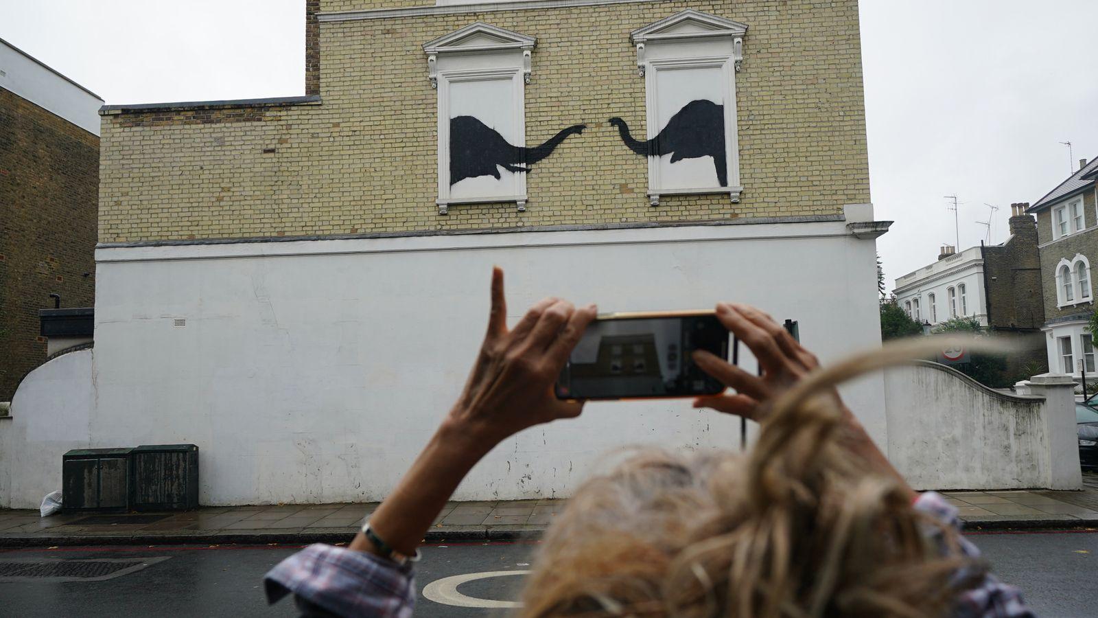 Произведение искусства Бэнкси с изображением животного было украдено