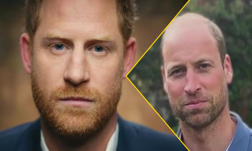 Принц Уильям в ярости из-за принца Гарри