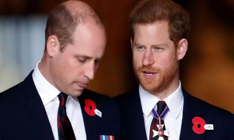 Принц Гарри и принц Уильям Принц Гарри и принц Уильям