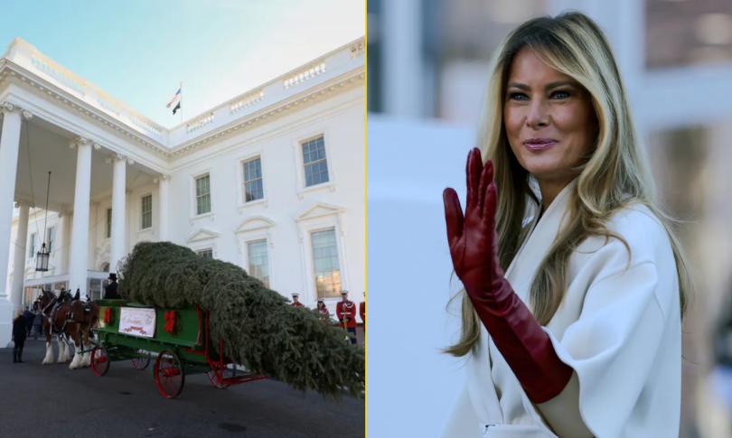 Мелания Трамп получила свою рождественскую елку