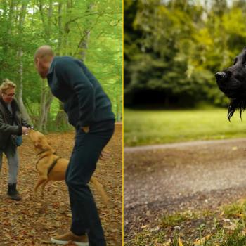 Она случайно столкнулась с принцем Уильямом в парке. “О боже!”