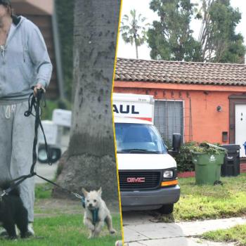 Микки Рурк объяснил, почему перестал платить аренду за дом в Лос-Анджелесе