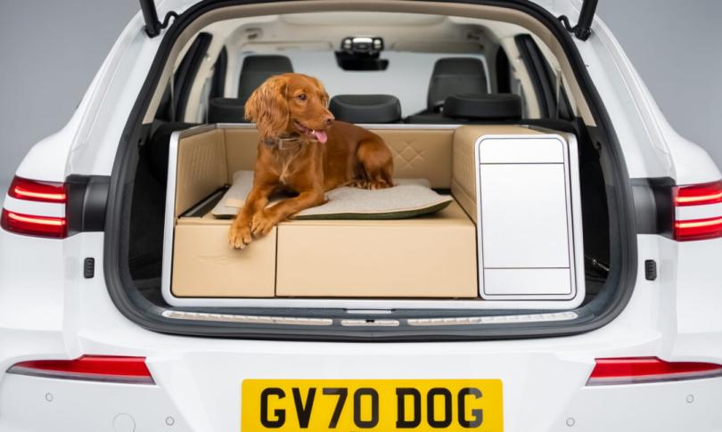 X Dog — багажник X Dog — багажник